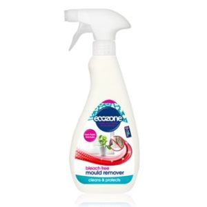 Mould Remover - 500ml