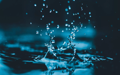 7 Easy Ways to Reconnect with Water (The Elixir of Life)
