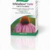 AVogel Echinacea Forte Cold & Flu - 40 Tabs