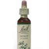 Bach Original Flower Remedies Bach Holly - 20ml