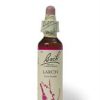 Bach Original Flower Remedies Bach Larch - 20ml