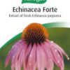 AVogel Echinacea Forte Cold & Flu - 40 Tabs - Image 2